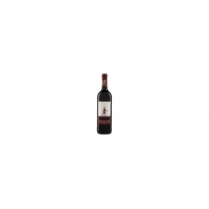 Bio červené víno Camino Lindo 0,75l